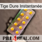 Tige Dure Instantanée new11